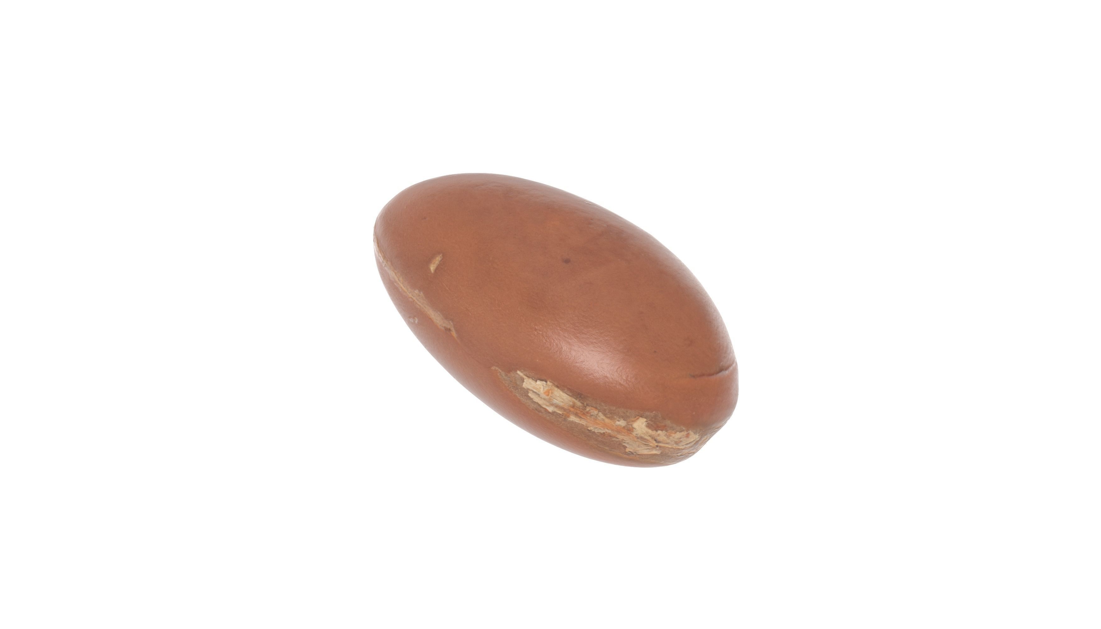 Argan seed Oil Photoscan Low-poly 3D model_1