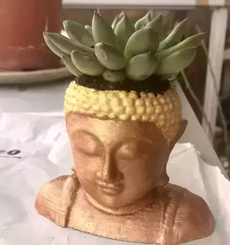 Buddha Head Planter 3D print model