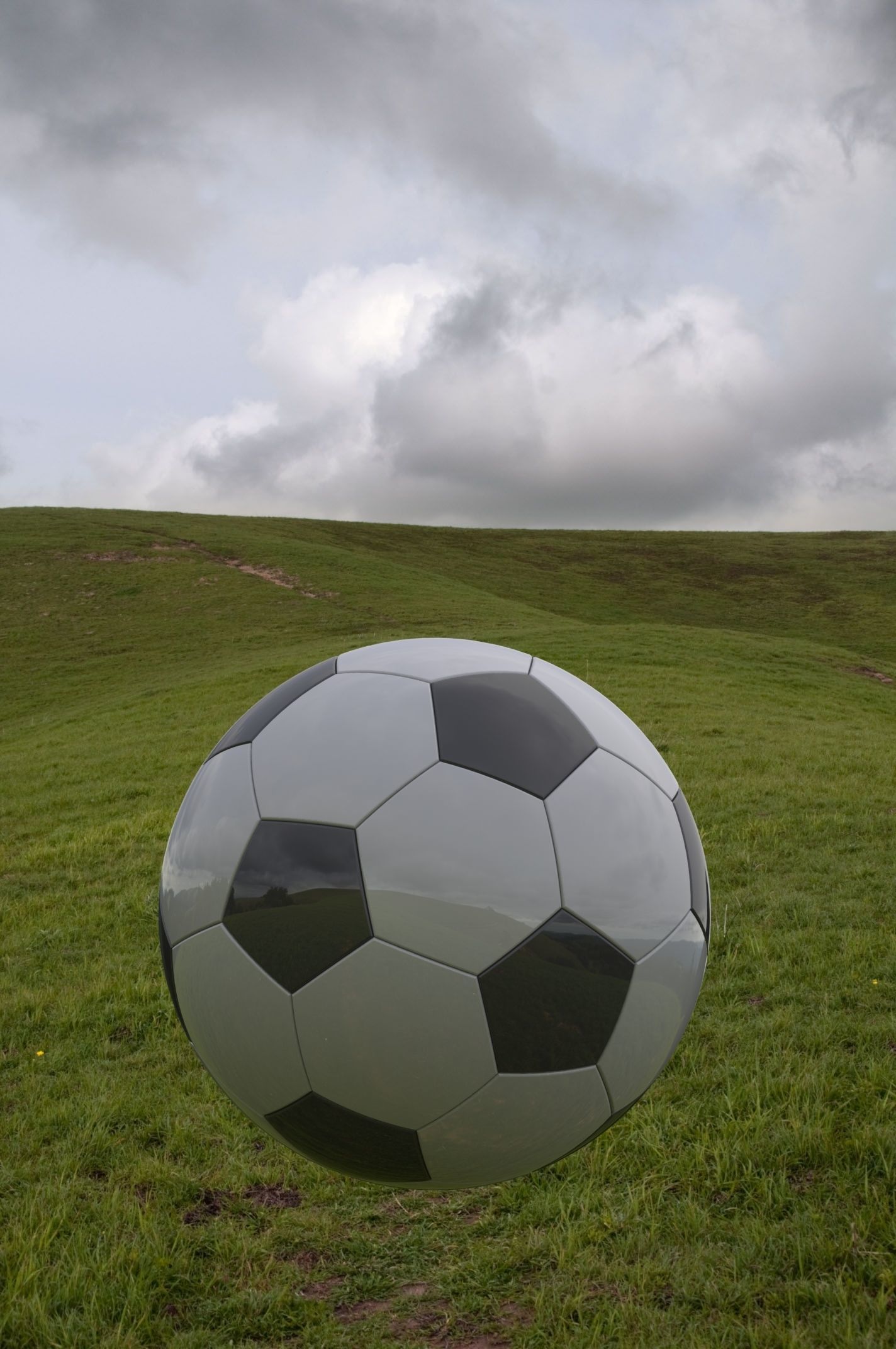 Soccer Ball Free 3D model_1