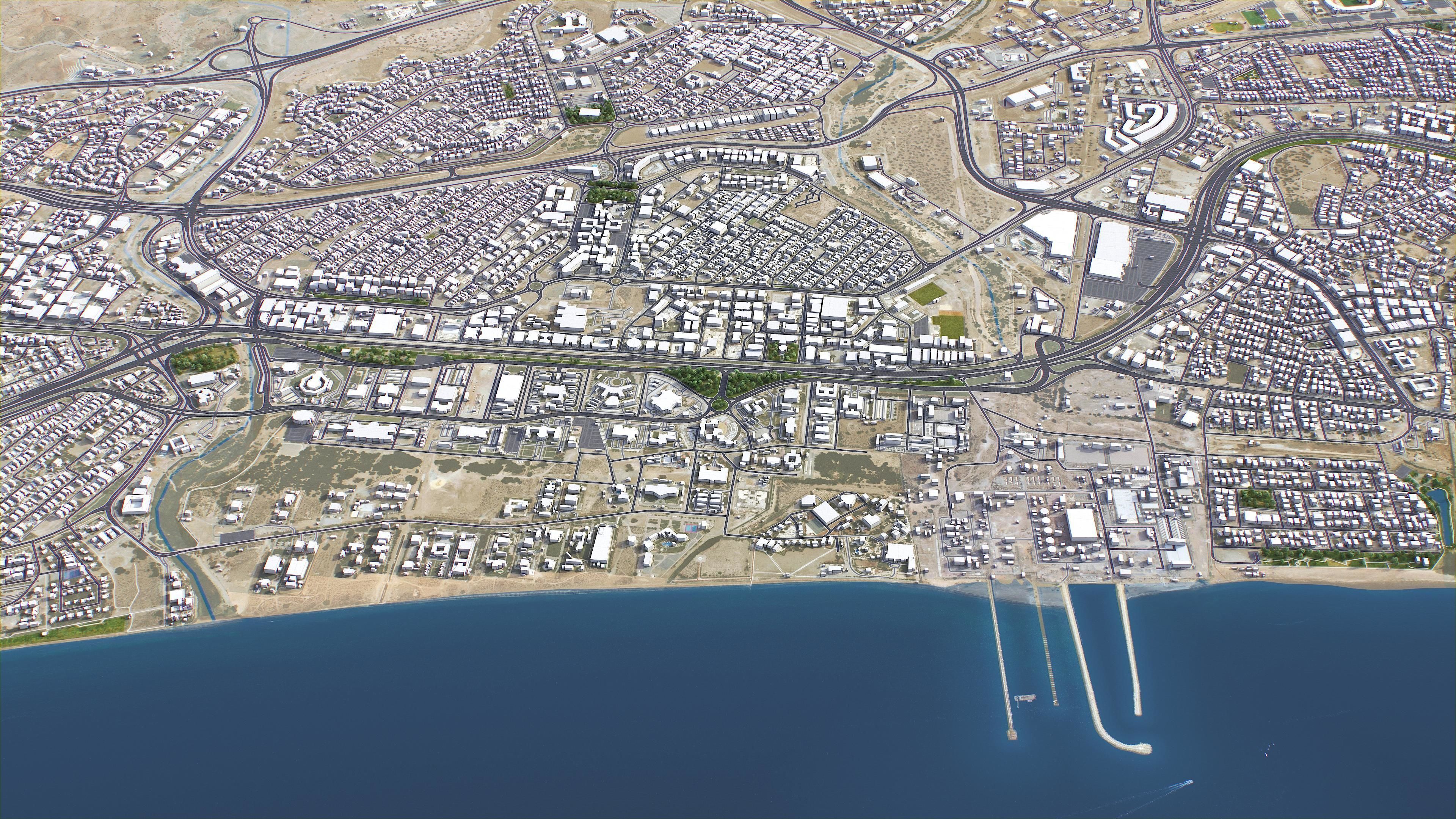 Muscat Low-poly 3D model_11