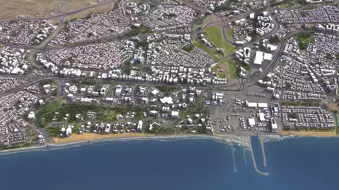 Muscat Low-poly 3D model 4