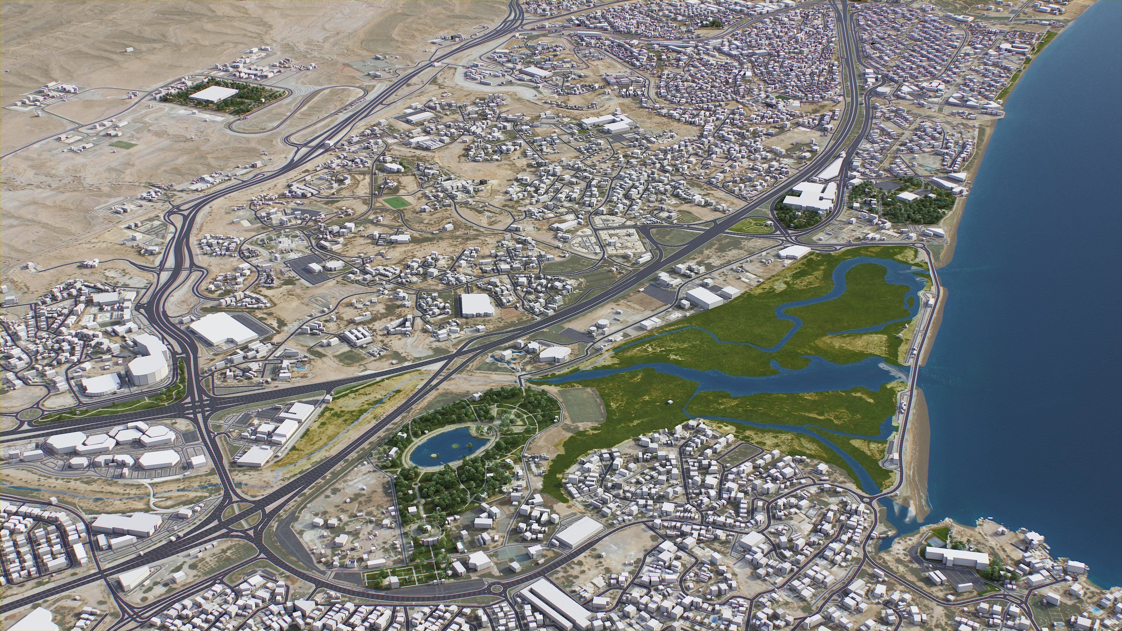 Muscat Low-poly 3D model_21