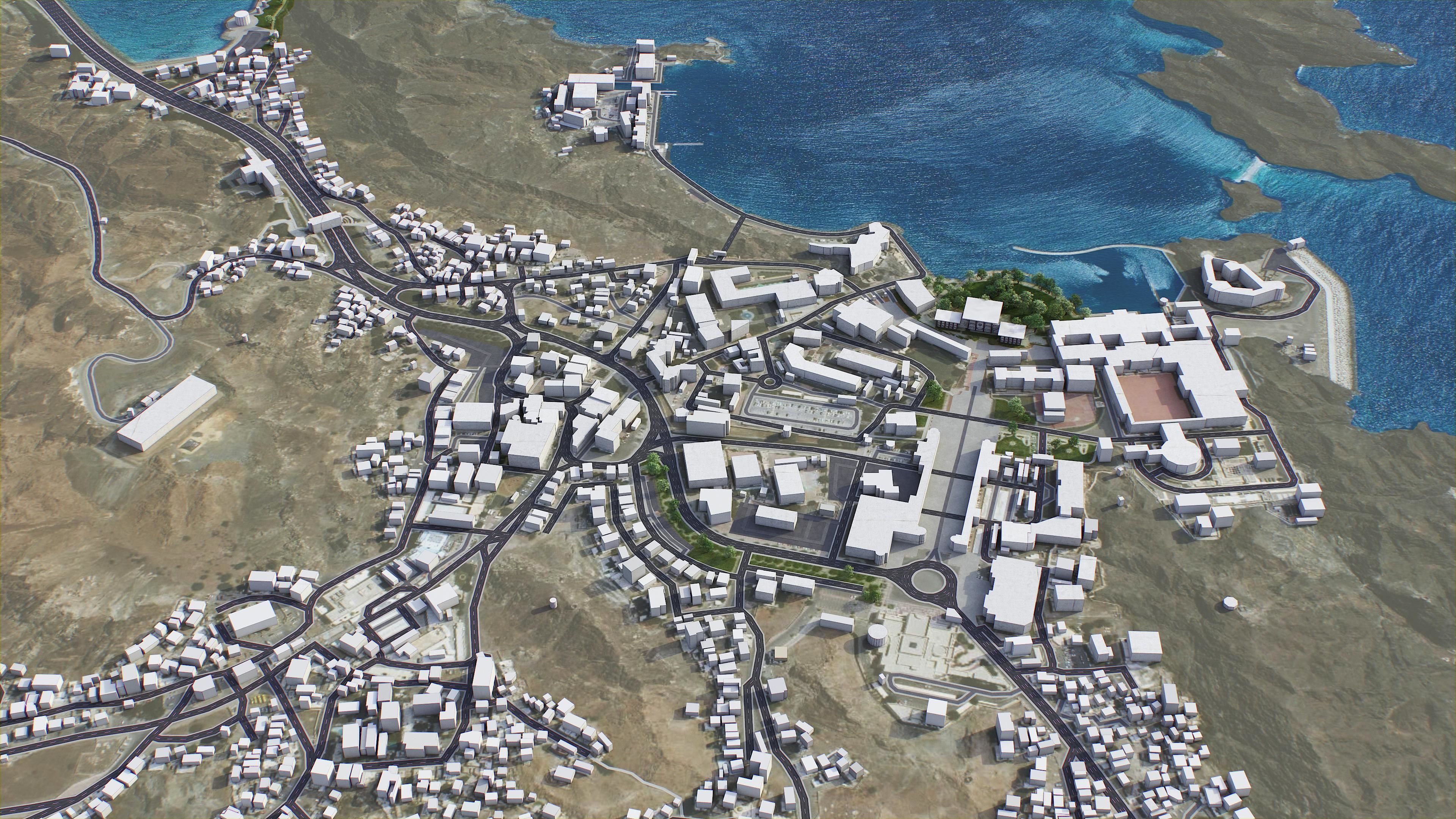 Muscat Low-poly 3D model_12