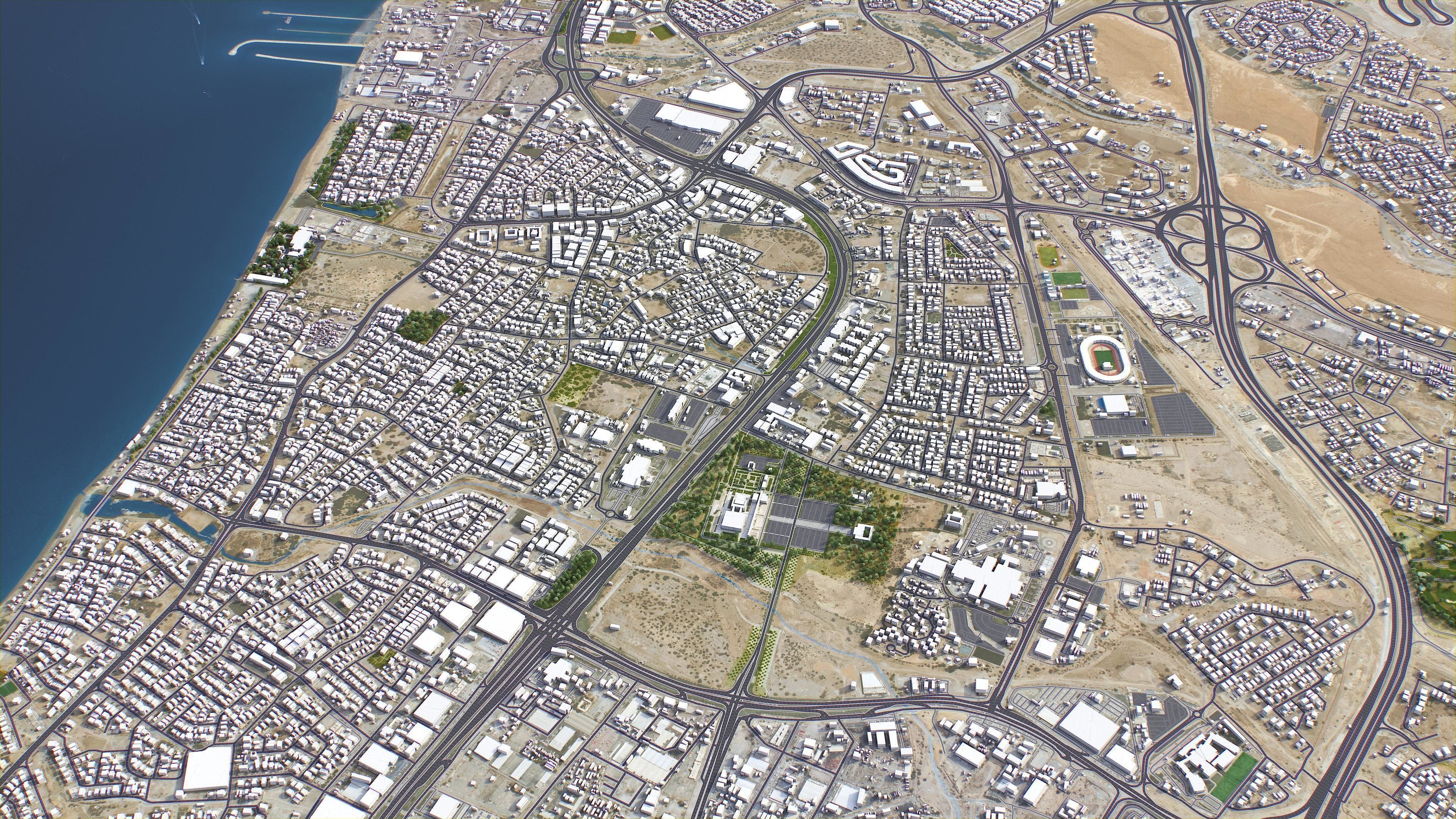 Muscat Low-poly 3D model_3