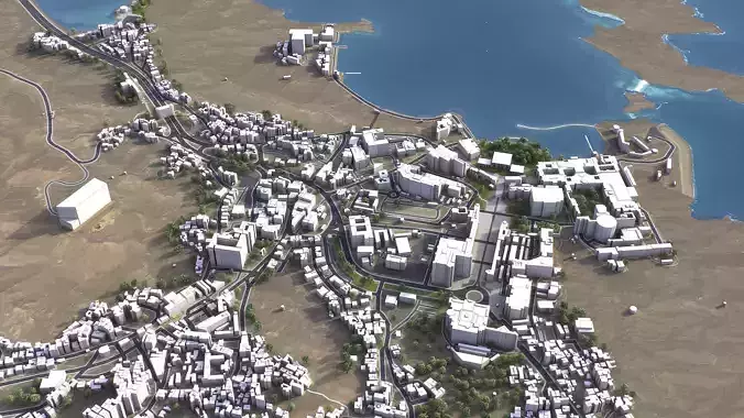 Muscat Low-poly 3D model 3