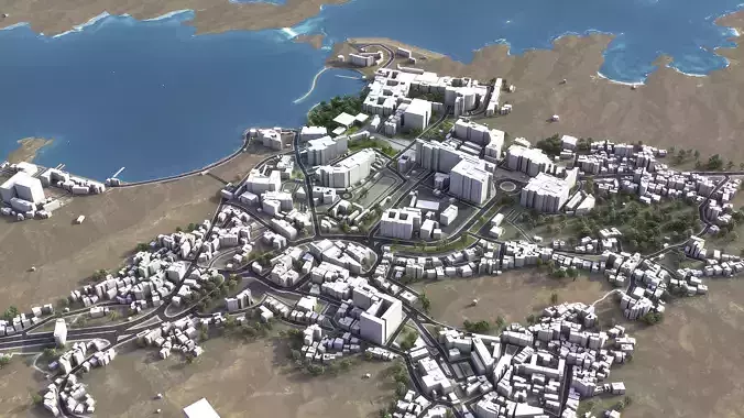 Muscat Low-poly 3D model 5