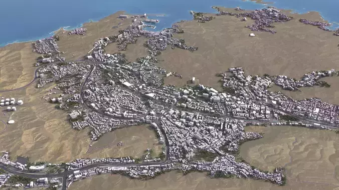 Muscat Low-poly 3D model 6