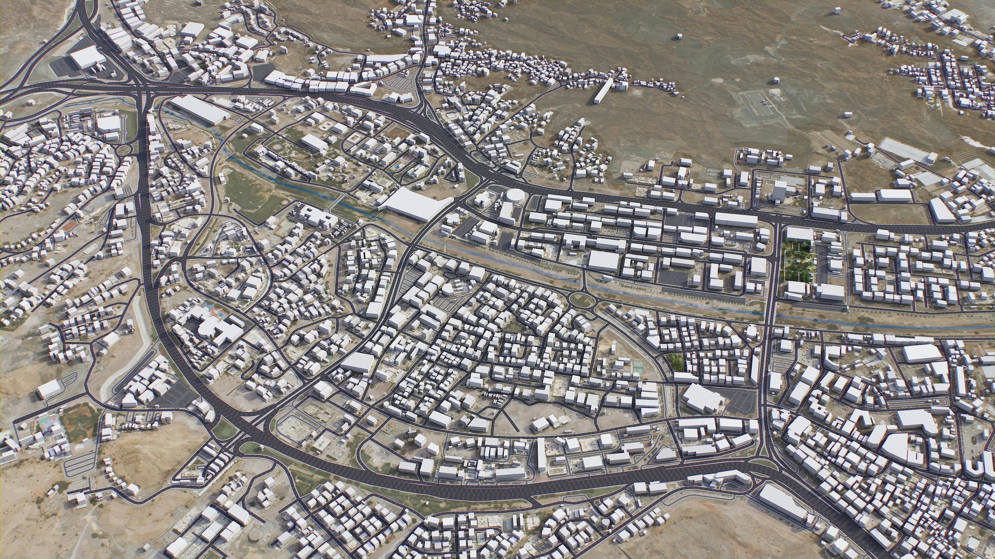 Muscat Low-poly 3D model_16