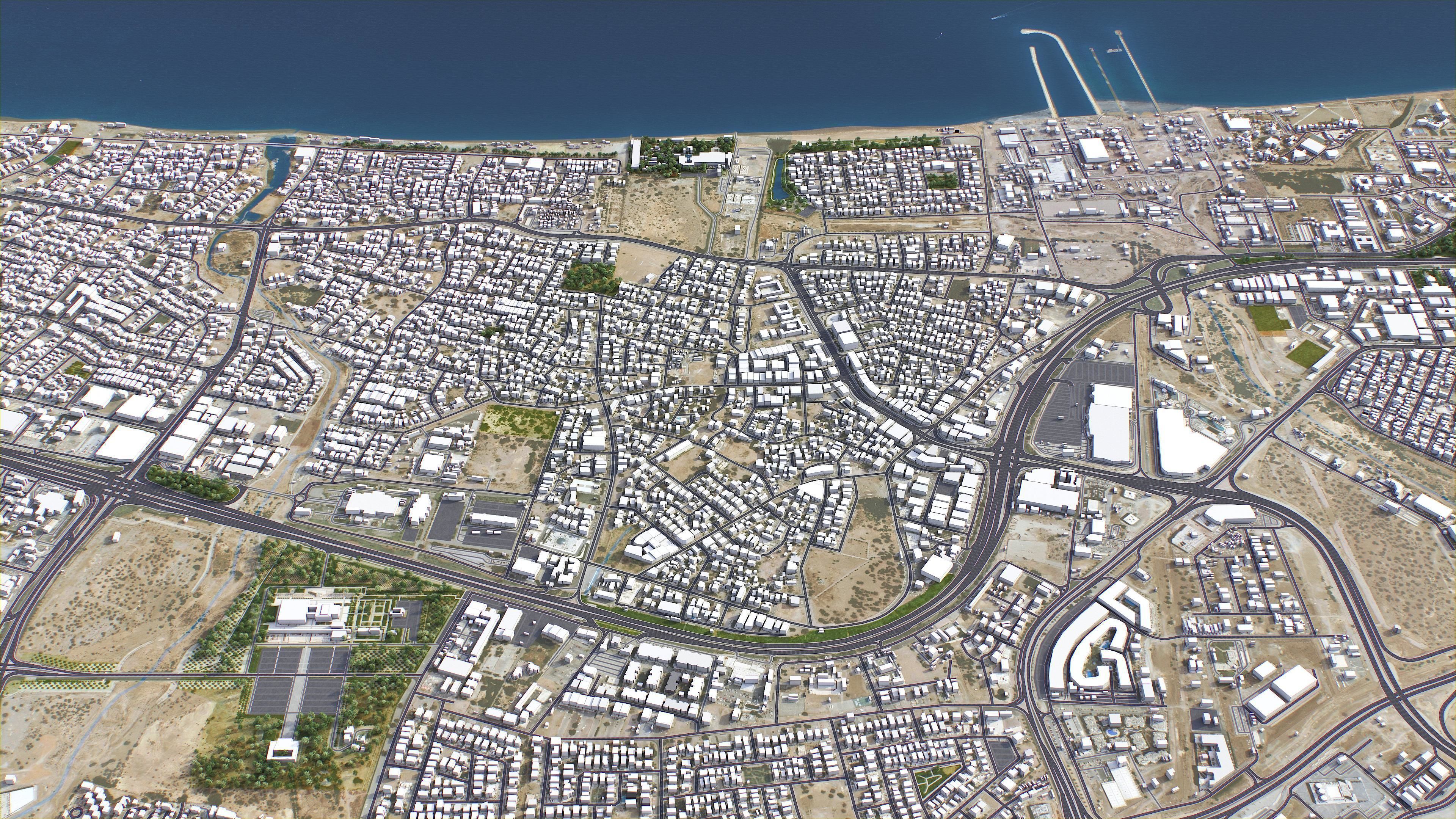 Muscat Low-poly 3D model_2