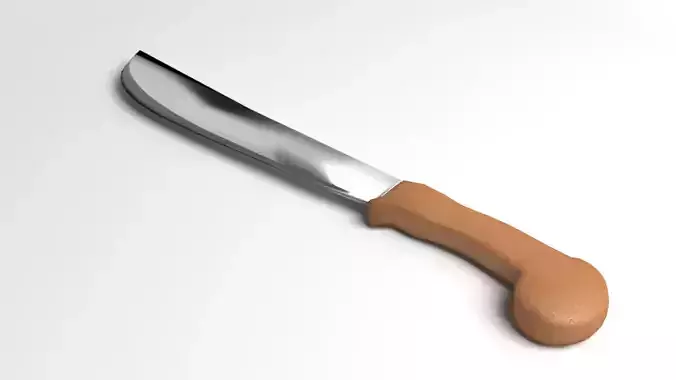 Machete 1 knife