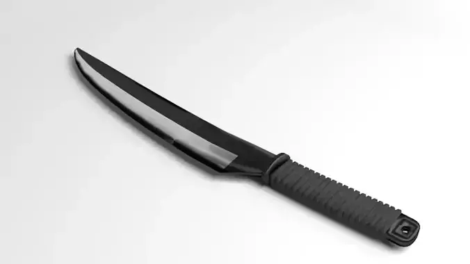 Machete 2 knife