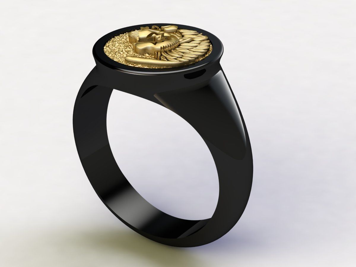 Lion Signet Solid Rings in US Sizes 3D print model_2