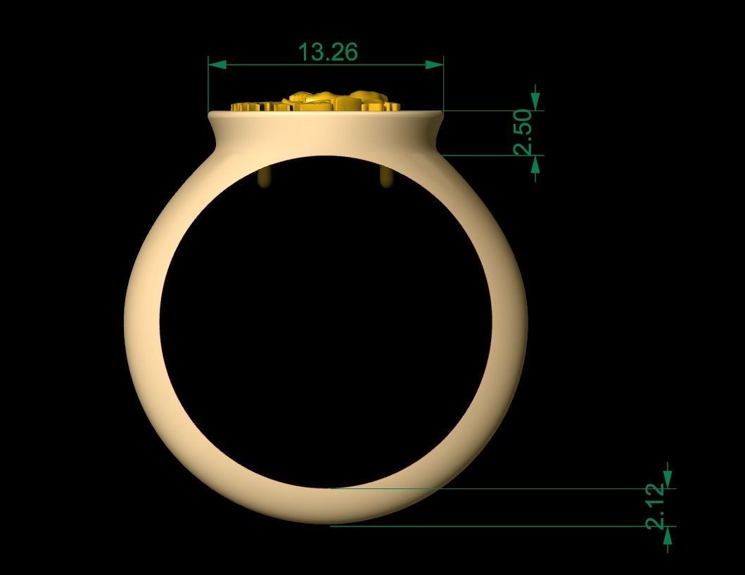 Lion Signet Solid Rings in US Sizes 3D print model_6