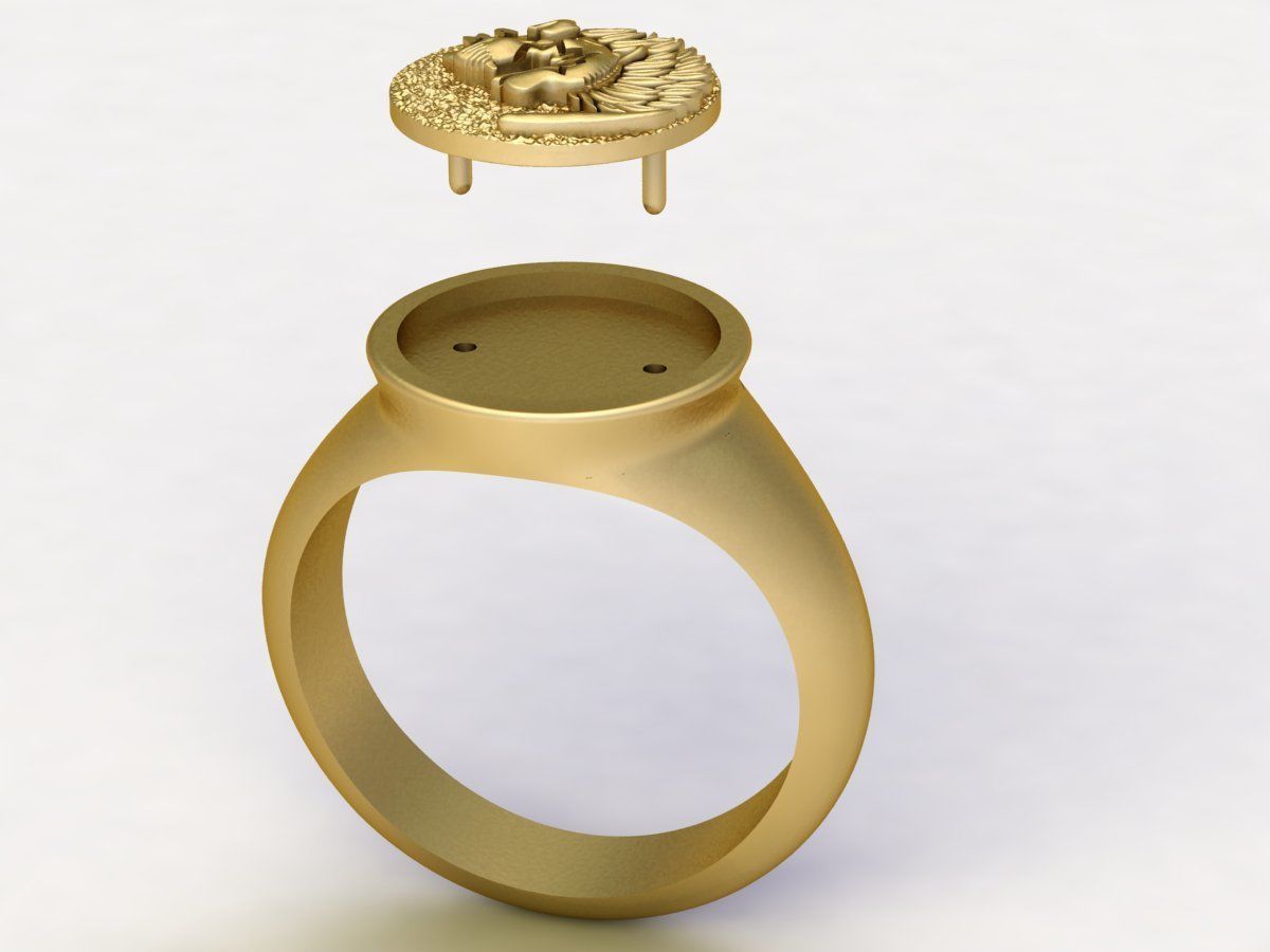Lion Signet Solid Rings in US Sizes 3D print model_4