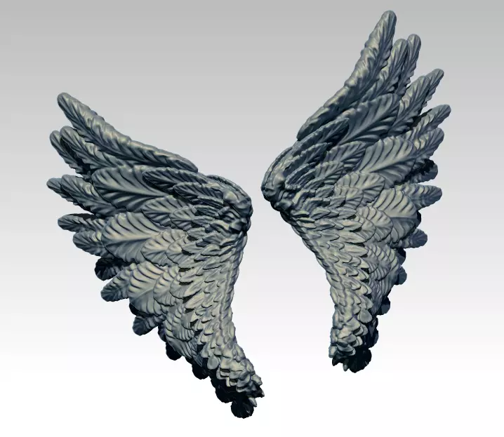 Angle Bird Wing High detailed 3D print model