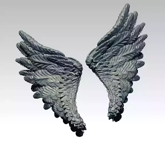 Angle Bird Wing High detailed