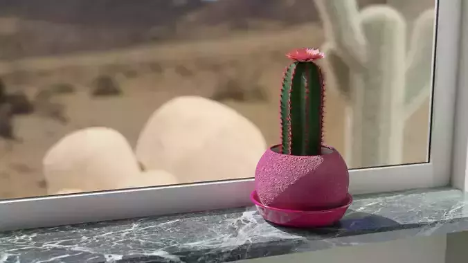 Tall flowering cactus in a pot