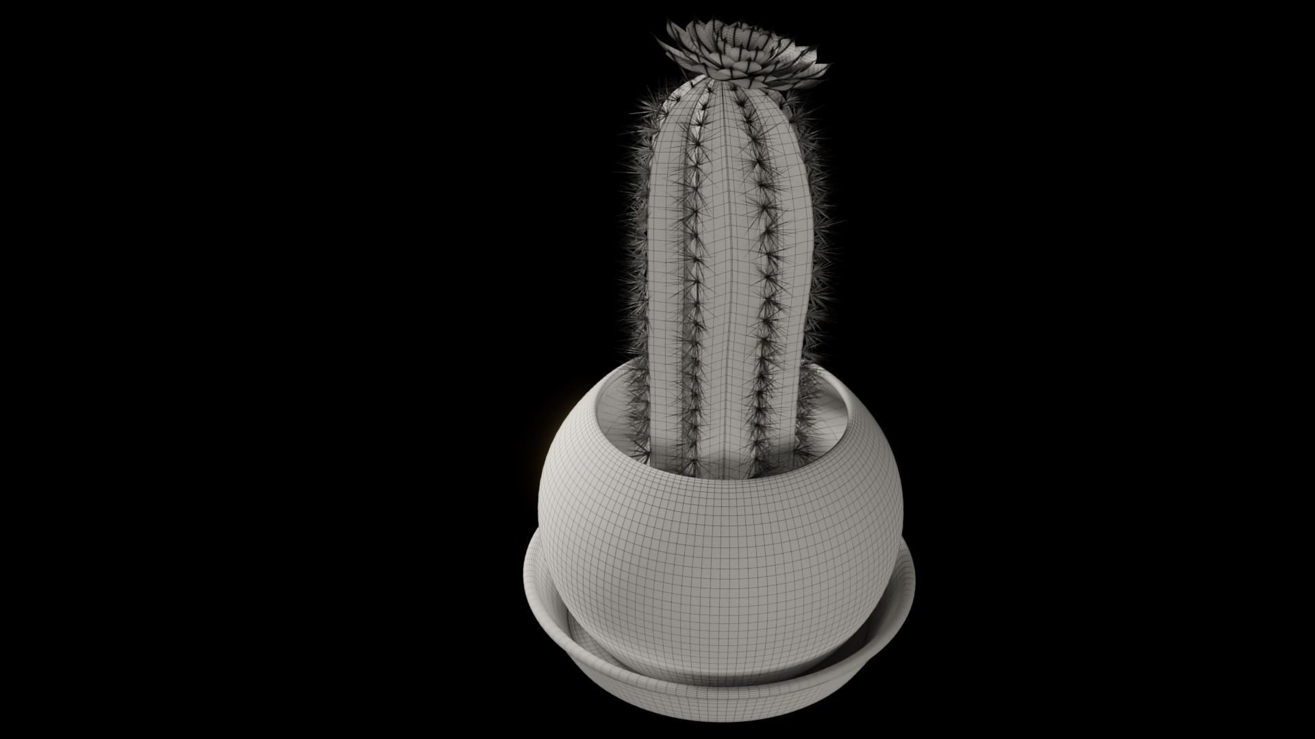 Tall flowering cactus in a pot 3D model_7