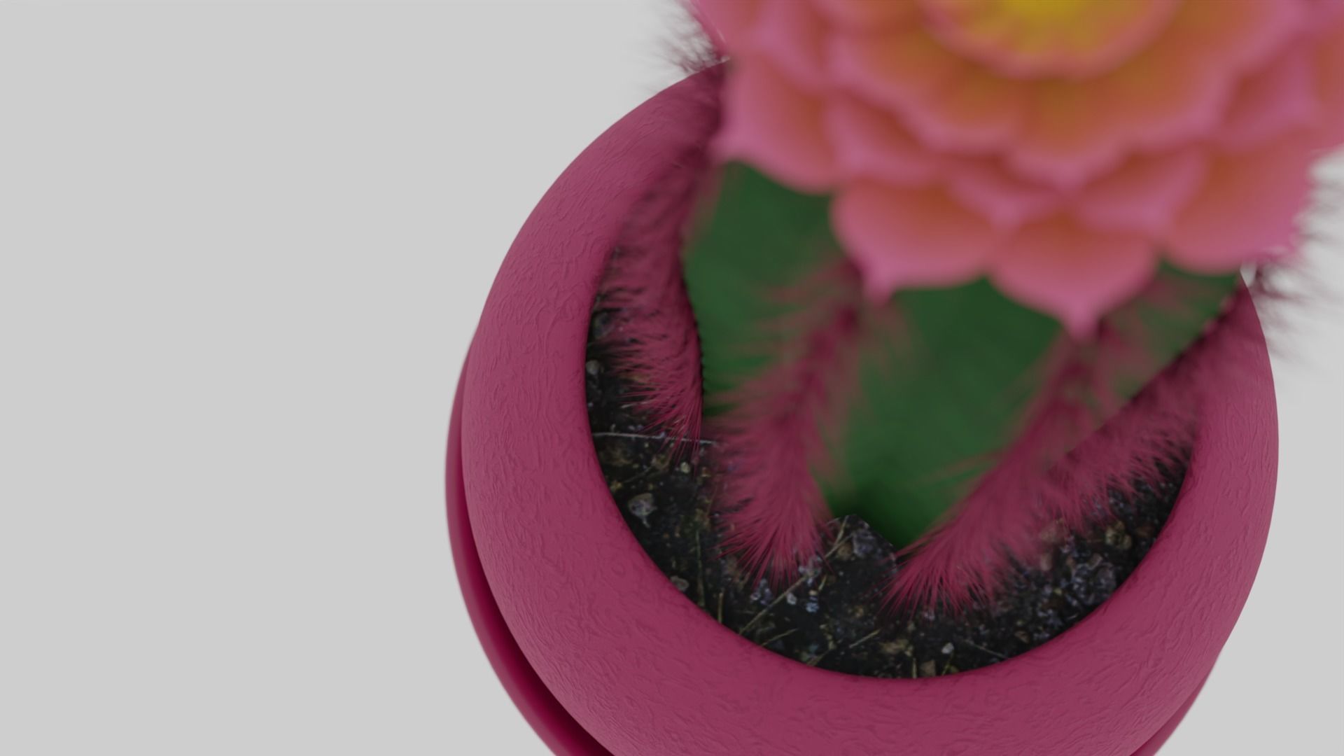Tall flowering cactus in a pot 3D model_5