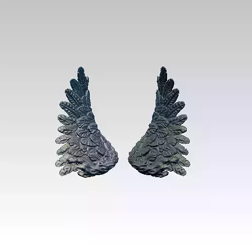 Angle Bird Wings pair TOP