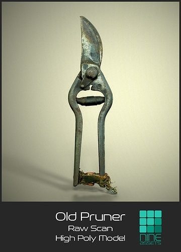 Old Pruner 3D model