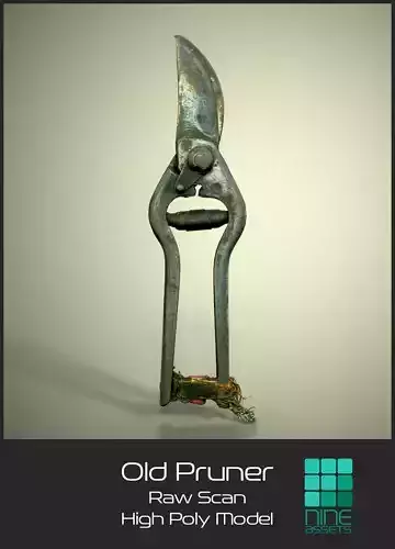 Old Pruner 3D model