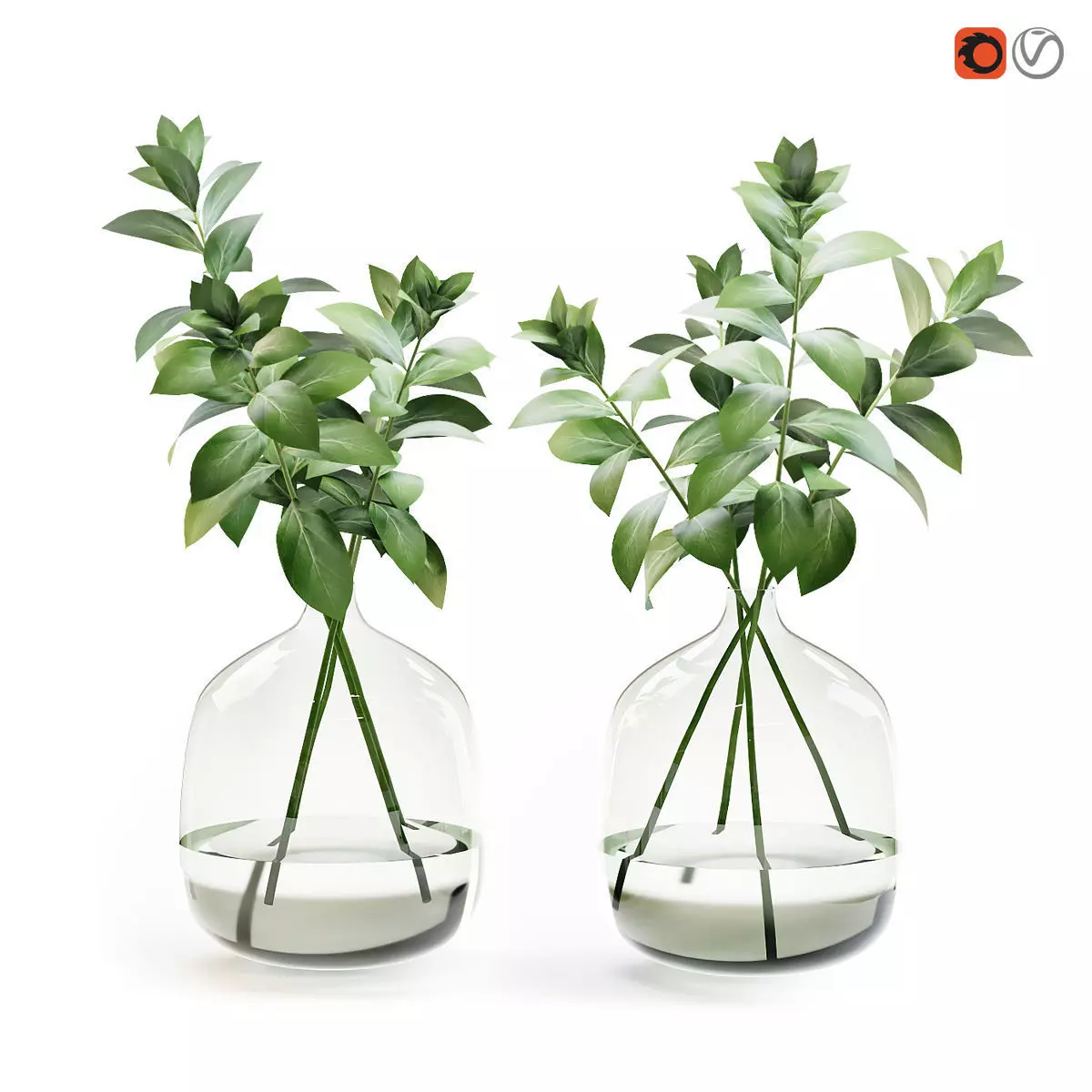 Herb stem in a vase with water 3D model_0