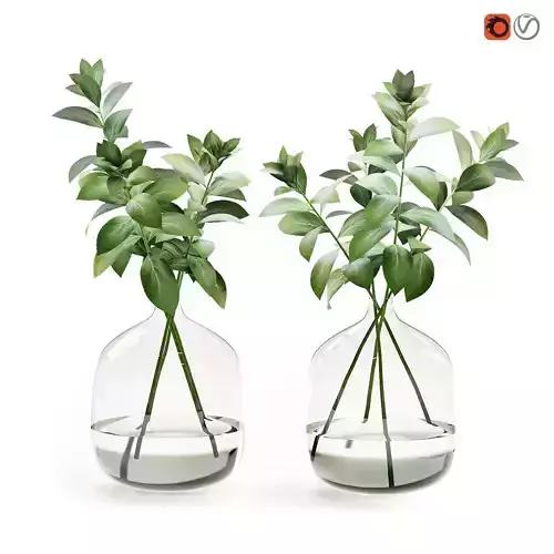 Herb stem in a vase with water