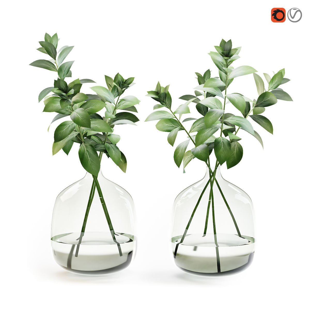 Herb stem in a vase with water 3D model_1