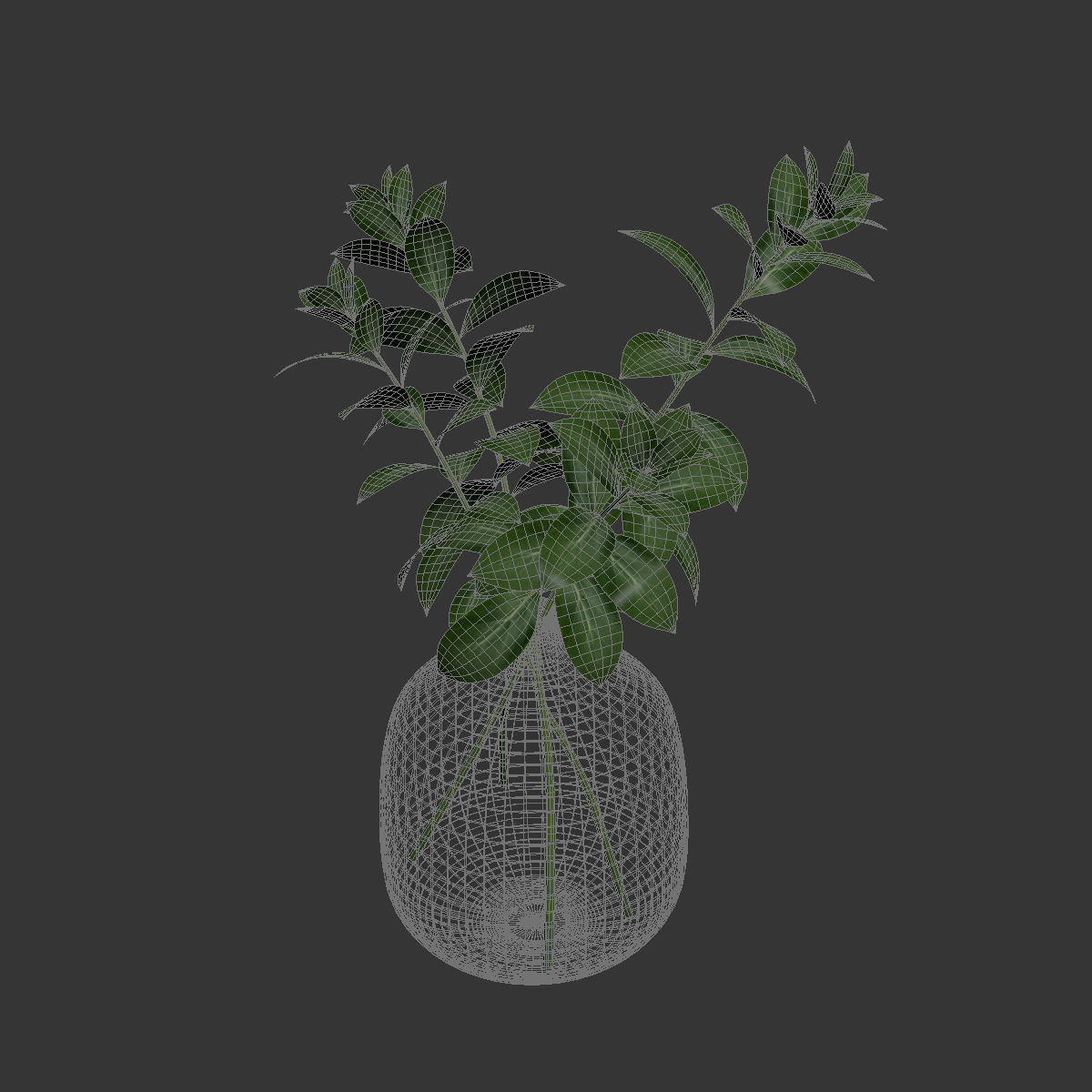 Herb stem in a vase with water 3D model_2