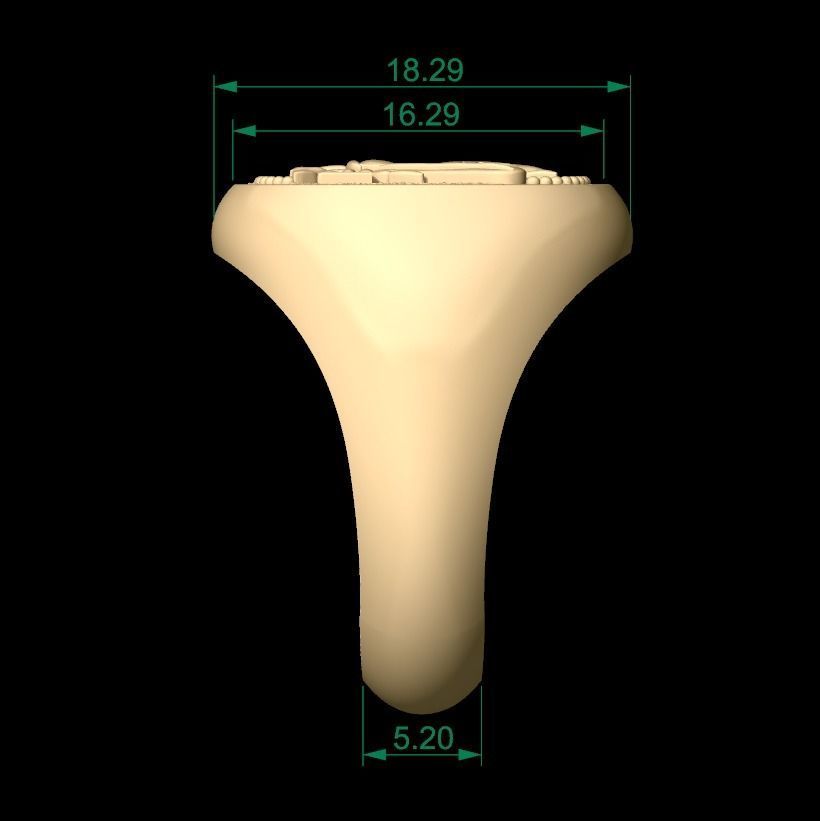 Bee Signet Hollow Rings in US Sizes 3D print model_10