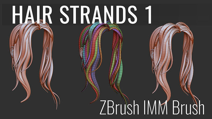 ZBrush Hair Strands 1 Insert Multi-Mesh Curve Brush 3D model