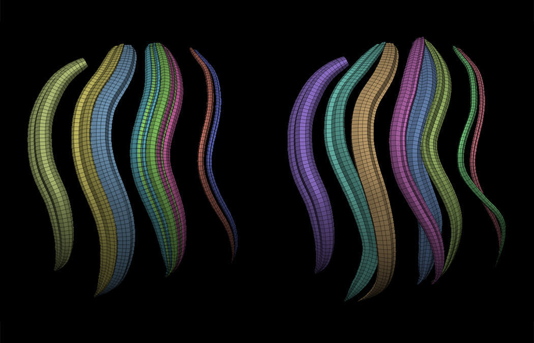 Hair Strands 2 - IMM Curve Brush - UV Unwrapped 3D model_2