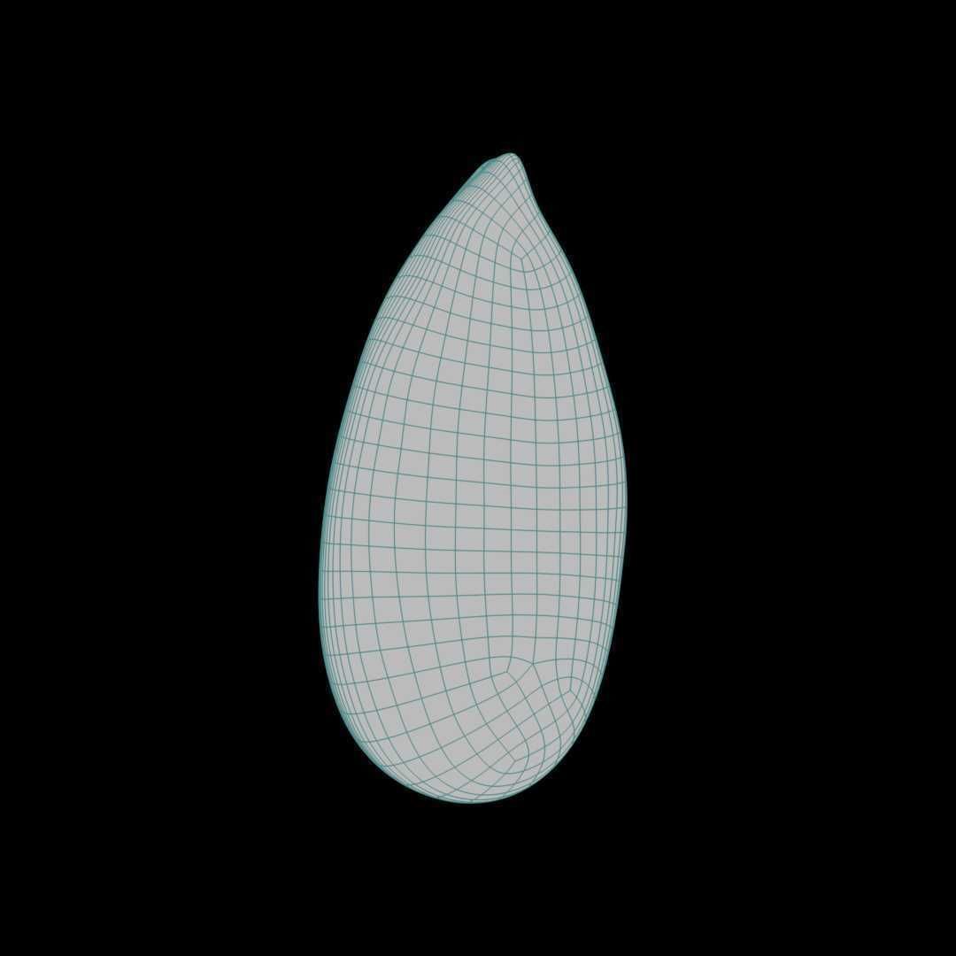 Almond Roasted 3D model_5