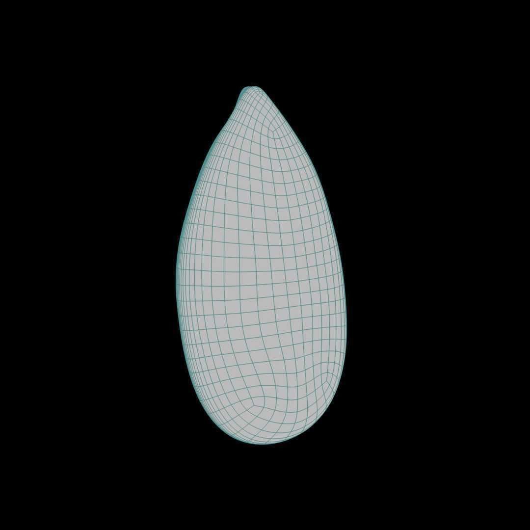 Almond Roasted 3D model_7
