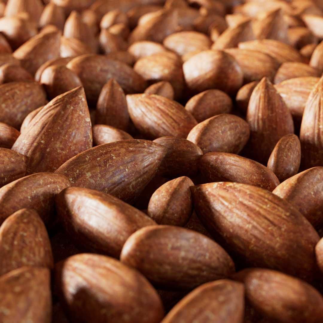 Almond Roasted 3D model_4