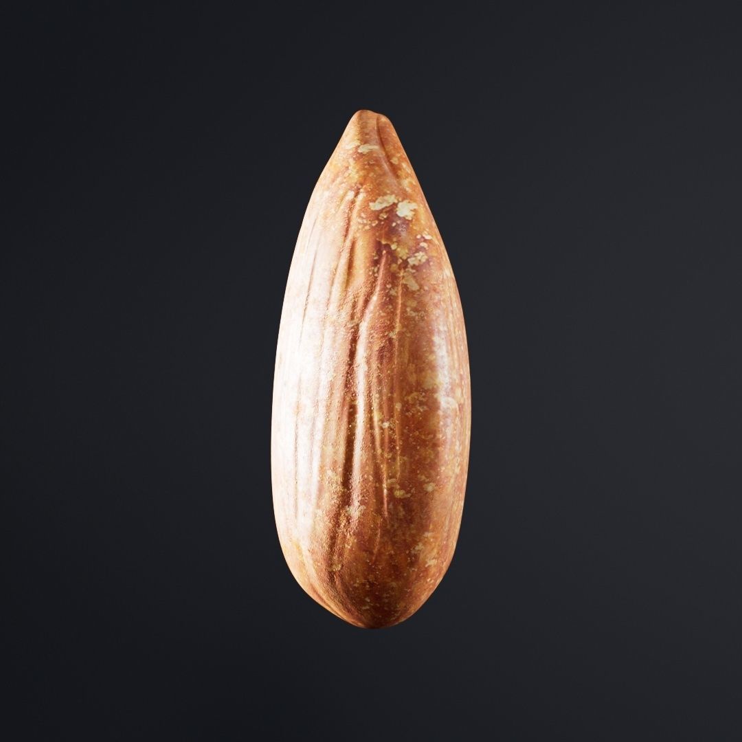 Almond Roasted 3D model_3