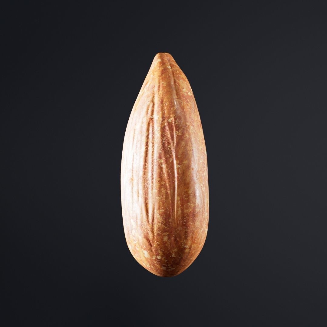 Almond Roasted 3D model_1