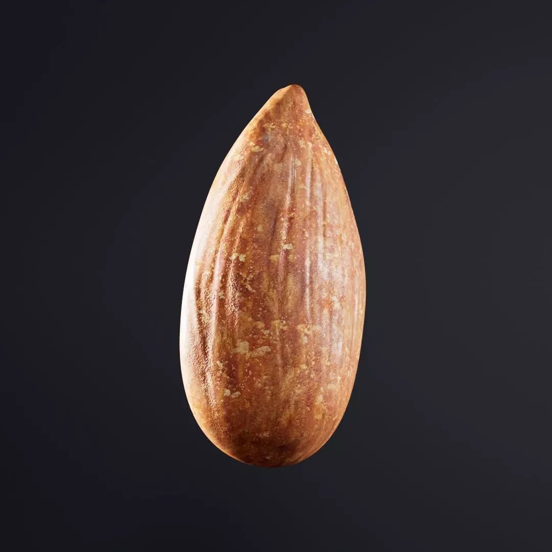 Almond Roasted 3D model_0