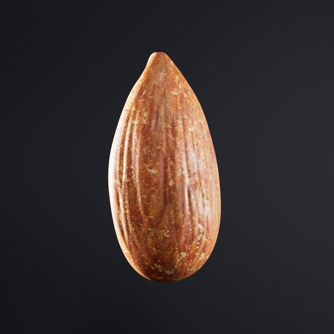 Almond Roasted 3D model_2