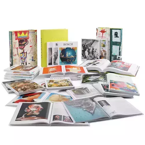 Book Set 1 of books with on cover 3D model