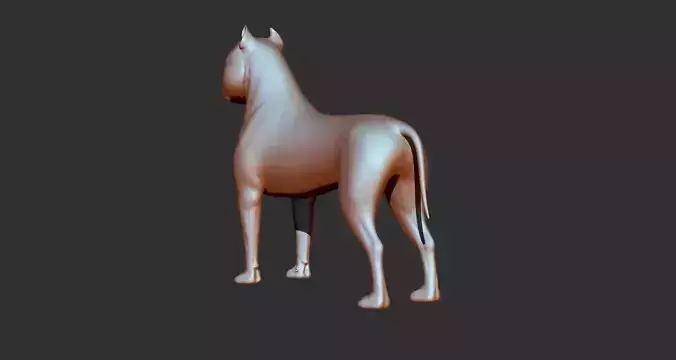 Dog of American Staffordshire Terrier 