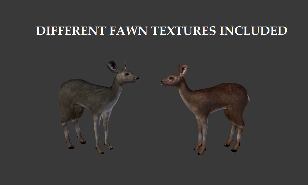 Roe Deer - Fawn Cub Baby Low-poly 3D model_3