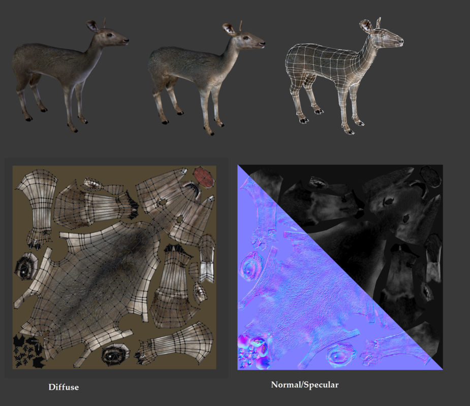 Roe Deer - Fawn Cub Baby Low-poly 3D model_1