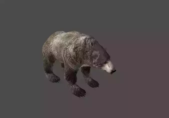 Next Gen AAA Black Grizzly Bear - game model Low-poly 3D model