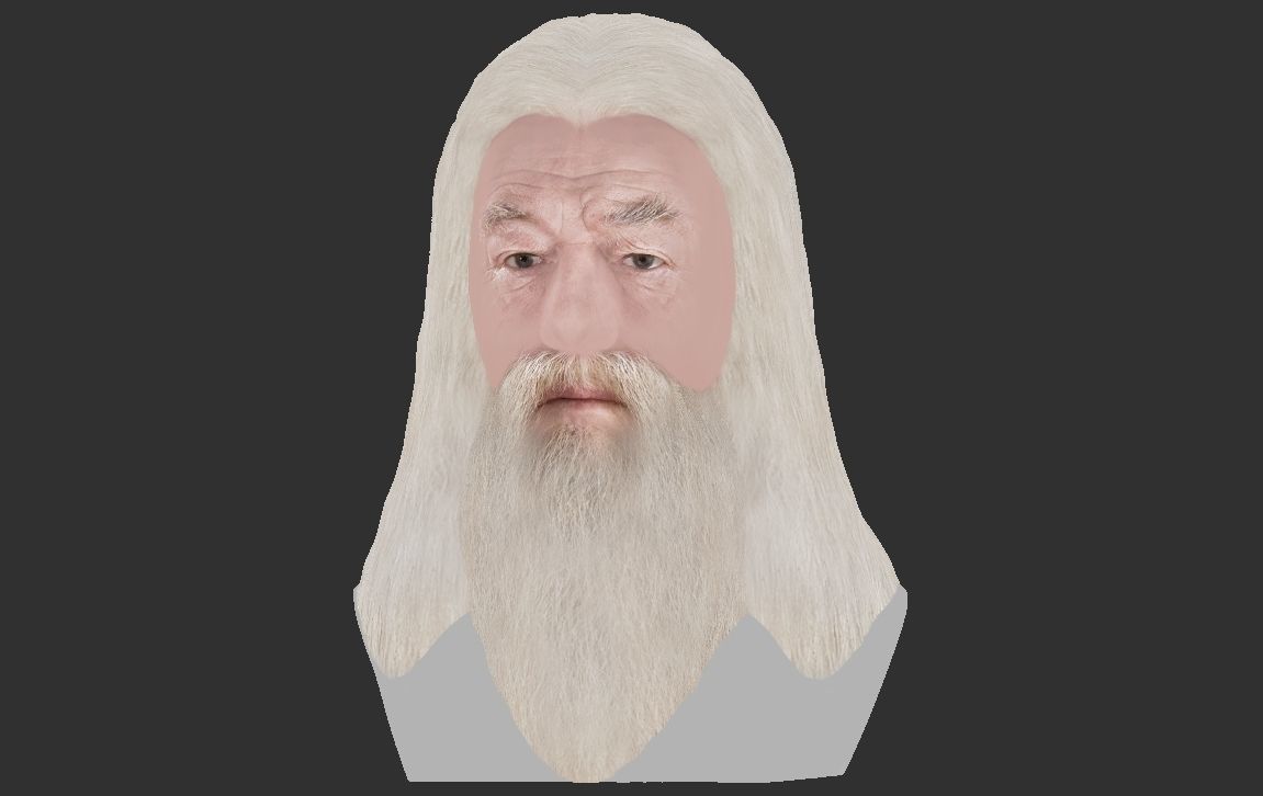 Dumbledore from Harry Potter bust for full color 3D printing 3D print model_20