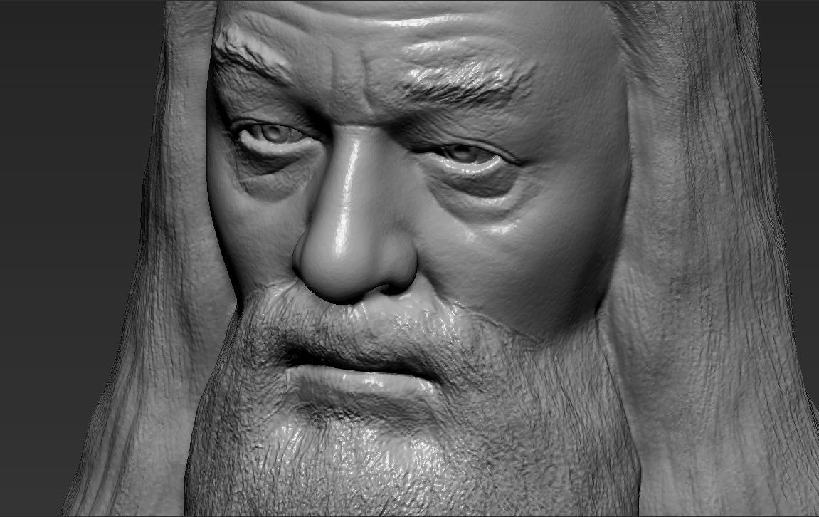 Dumbledore from Harry Potter bust for full color 3D printing 3D print model_44