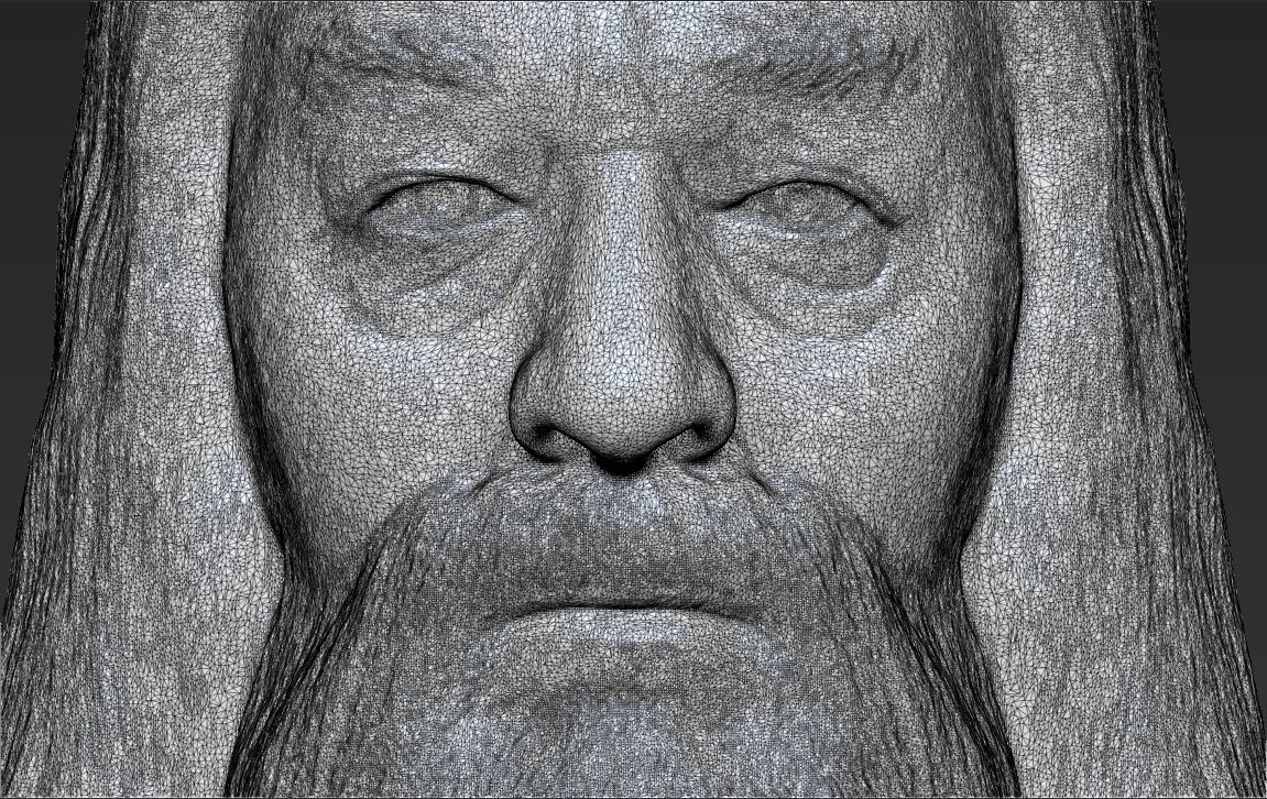 Dumbledore from Harry Potter bust for full color 3D printing 3D print model_48