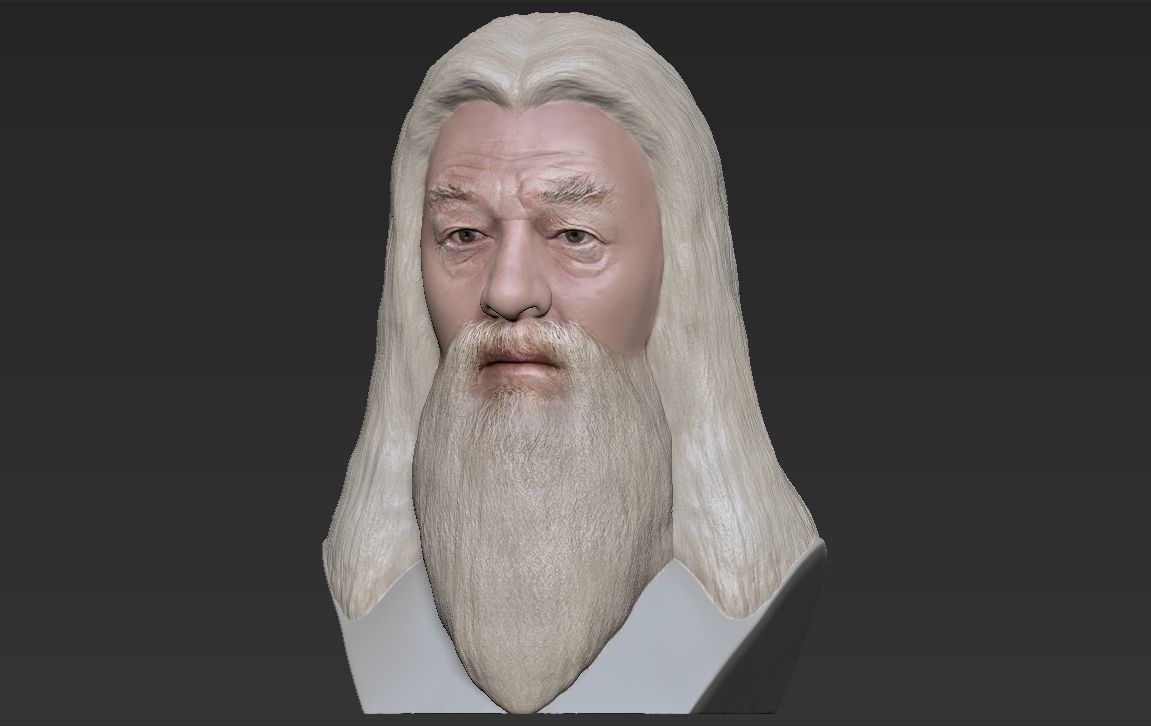 Dumbledore from Harry Potter bust for full color 3D printing 3D print model_17