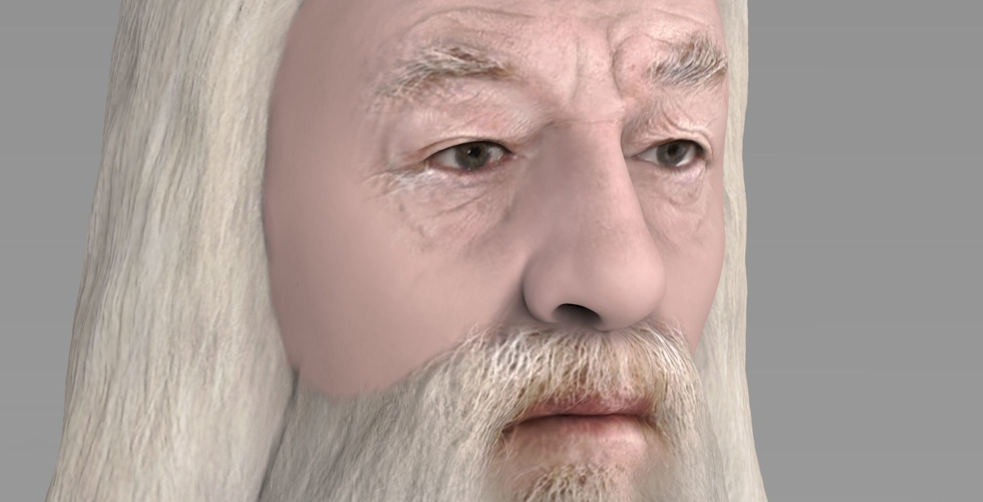 Dumbledore from Harry Potter bust for full color 3D printing 3D print model_13